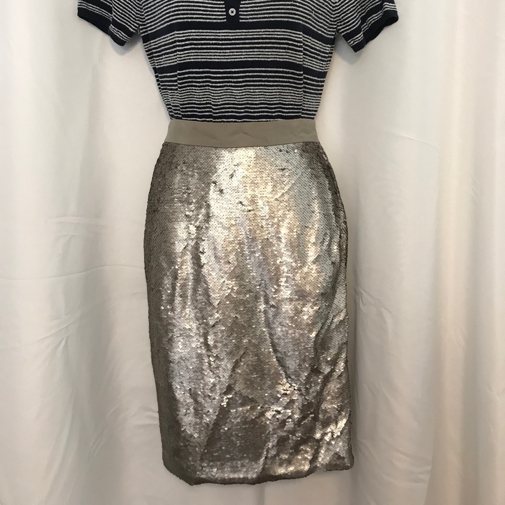 Banana Republic Sequin Skirt Sz. 0p